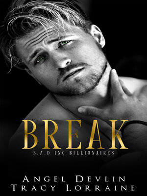cover image of Break